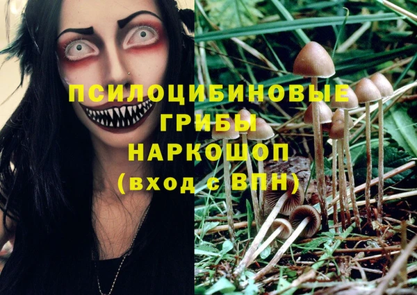 гидропоника Фурманов