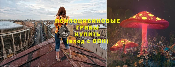 мдма Гусев